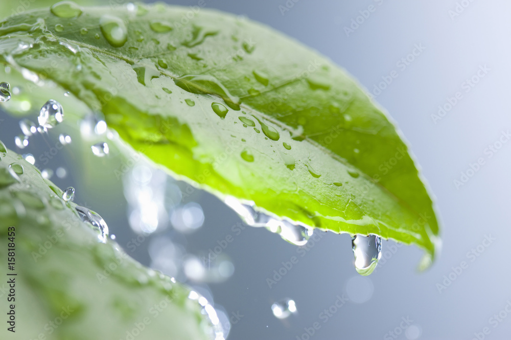 Fototapeta premium 雨イメージ