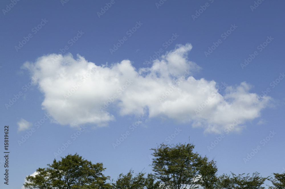 青空 青空