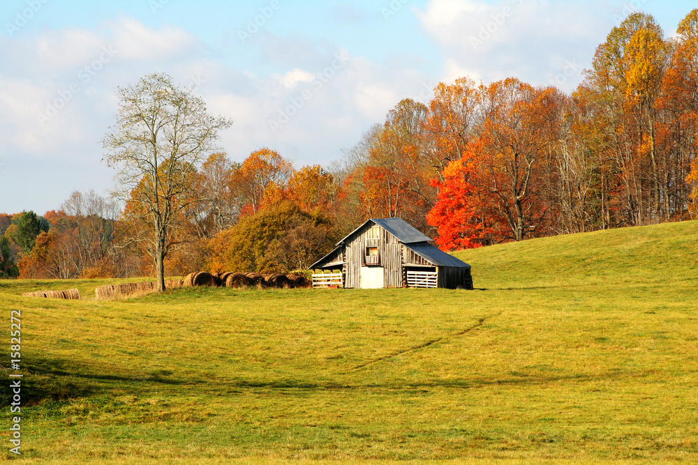 Barn Barn