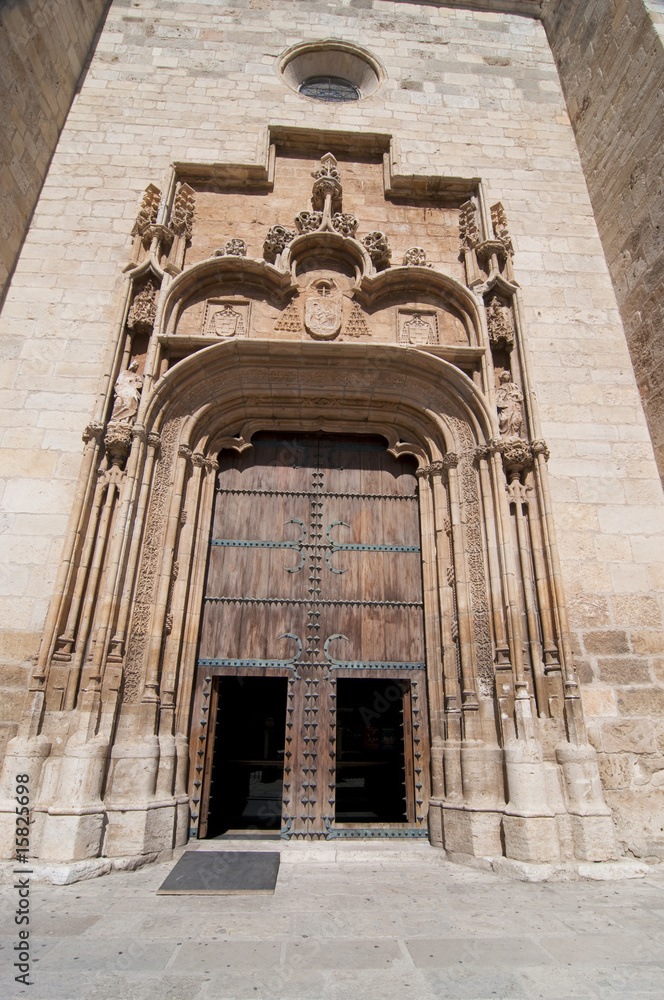 Fototapeta premium Architecture. cathedral