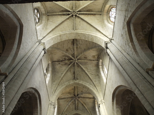 Boveda de cañon en la catedral de Santo Domingo de la Calzada