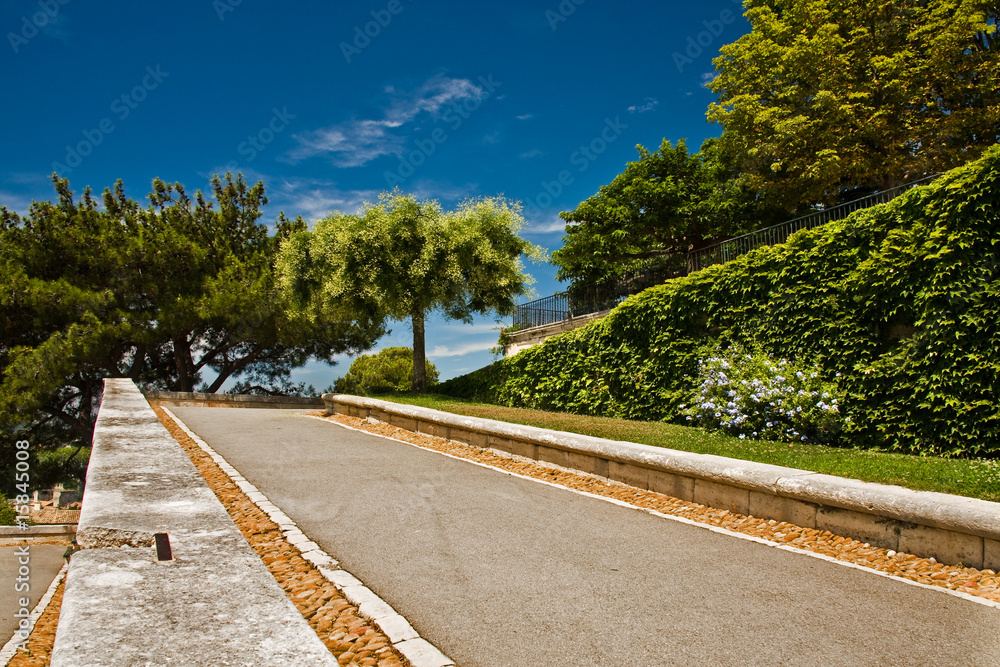 Pavement in Park Pavement in Park