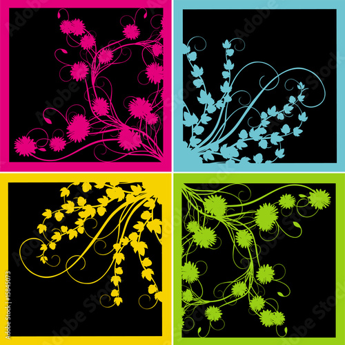 colour vegetable pattern