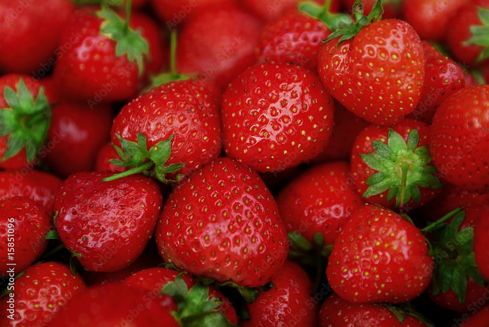 fragole fragole
