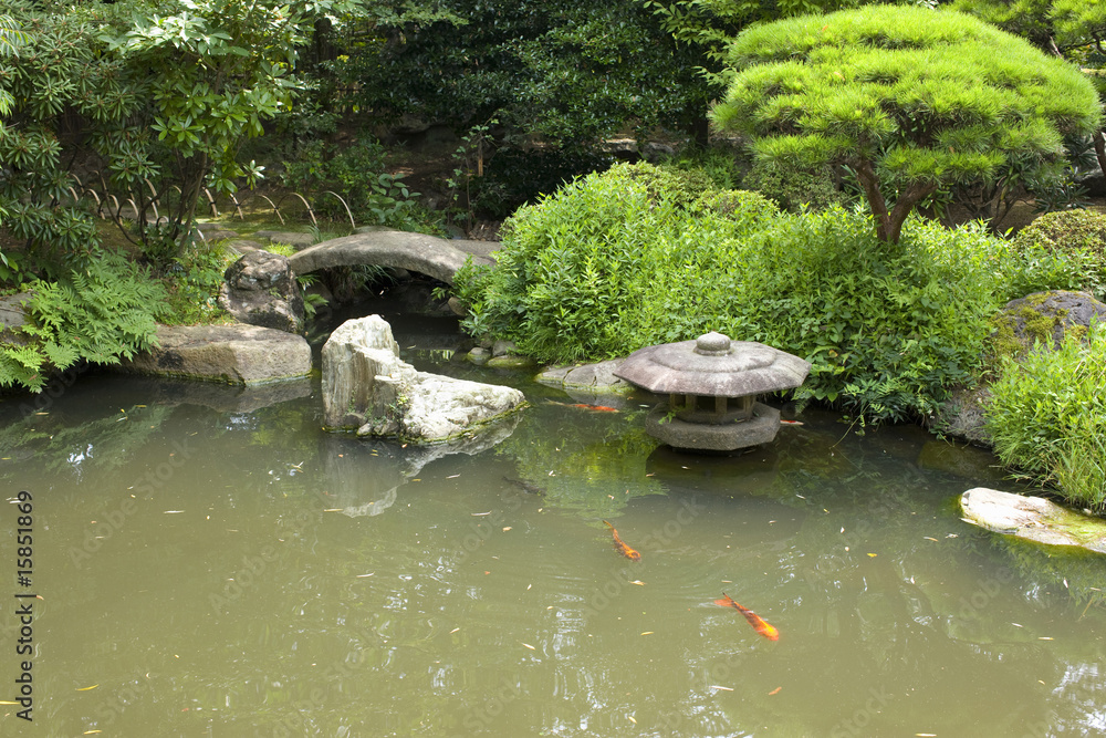 Fototapeta premium 日本庭園