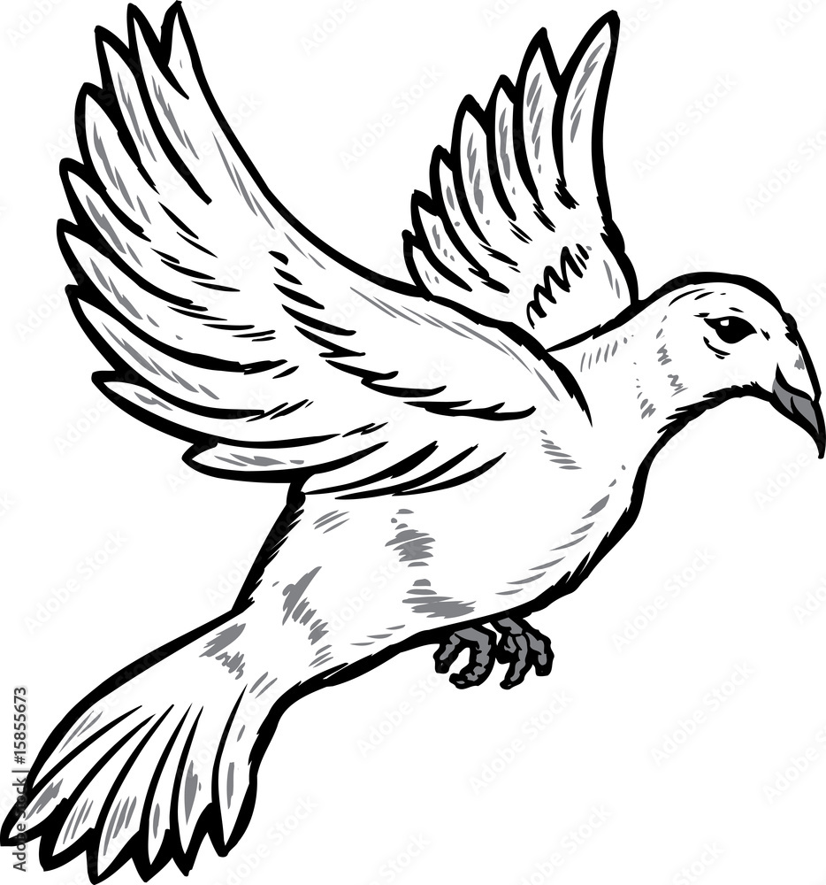 Obraz premium Dove in flight illustration
