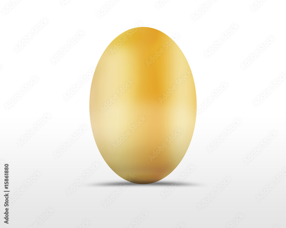 fresh egg fresh egg