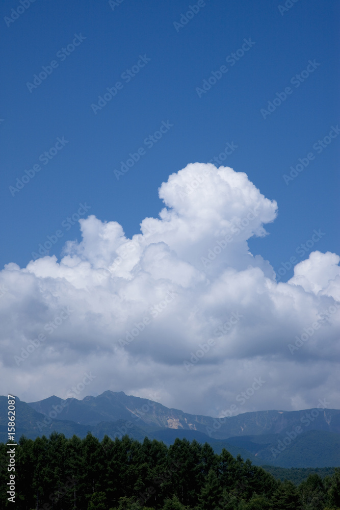 Obraz premium 入道雲