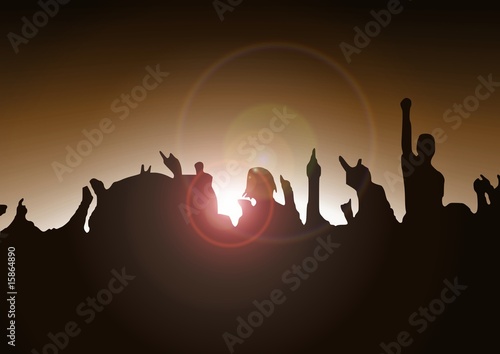 concert crowd