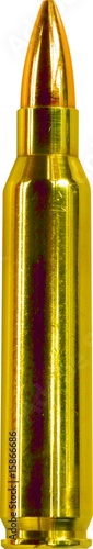 Single yellow bullet
