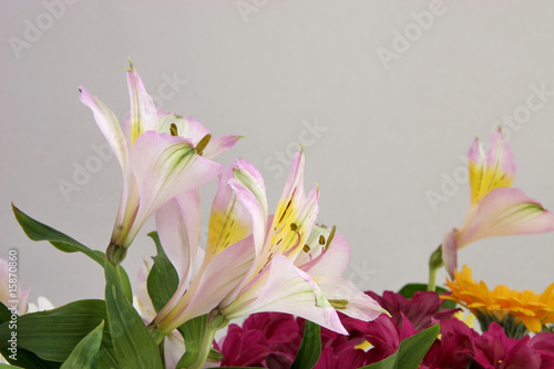 cut flowers in a bouquet