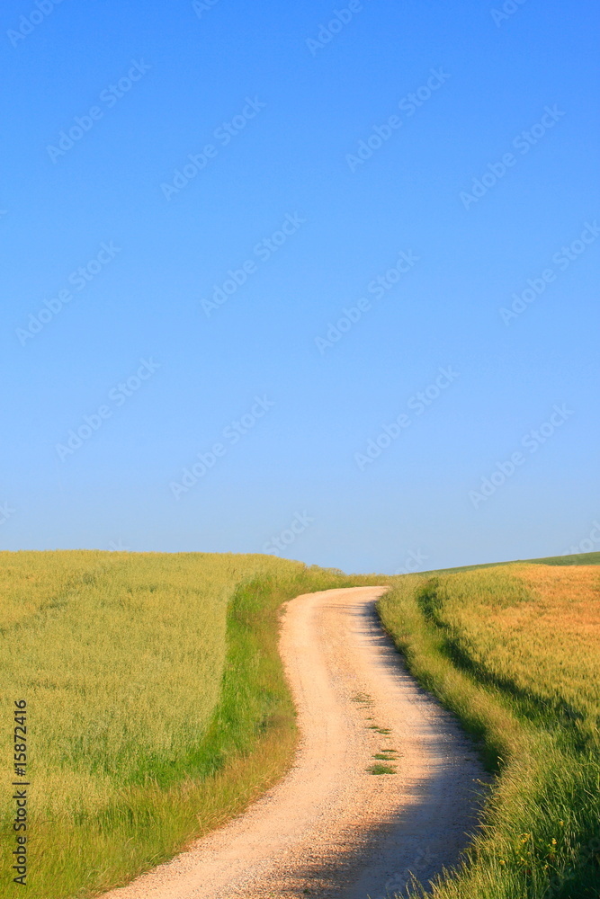 Weg zum Horizont Weg zum Horizont