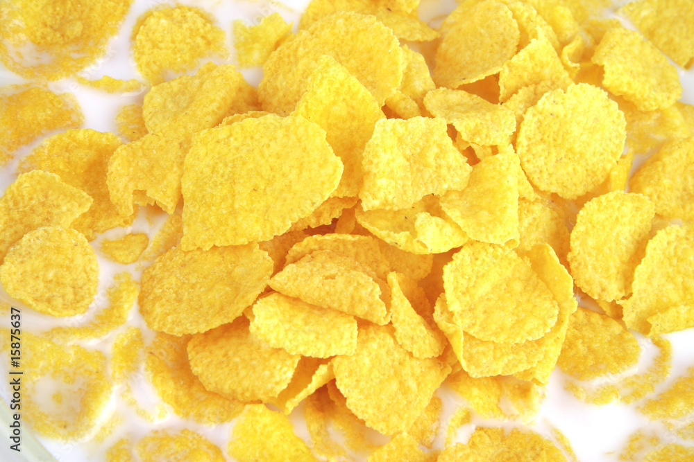 cornflakes and milk cornflakes and milk