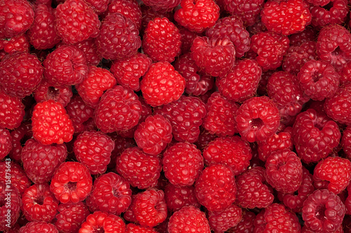 huge fresh rasperry crop