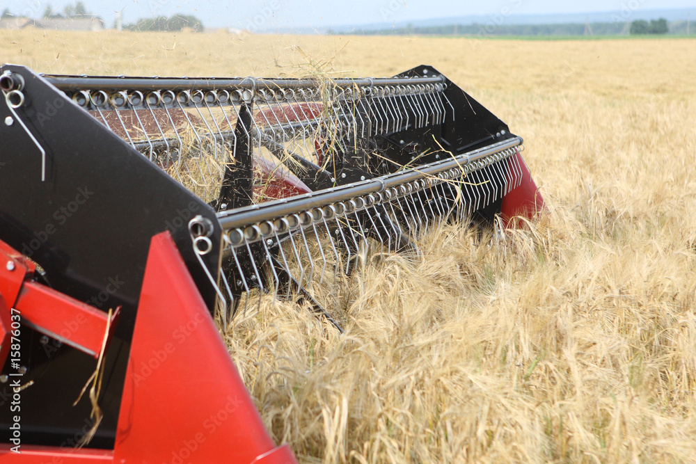 Machine harvesting