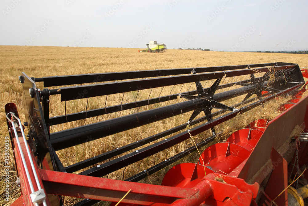 Machine harvesting