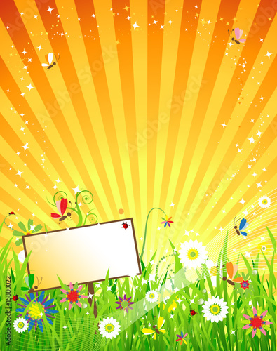 Summer meadow beautiful