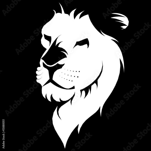 lion white head illustration photo