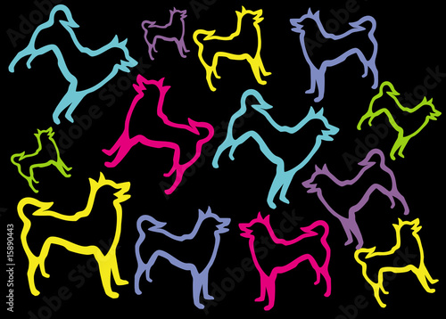 colour dogs