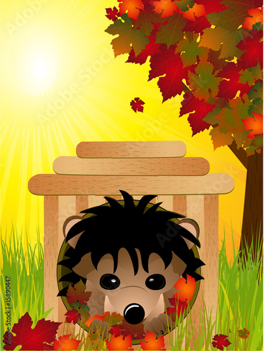 hedgehog and house