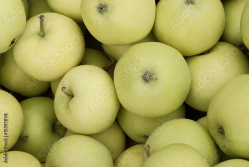 pearmain early apples