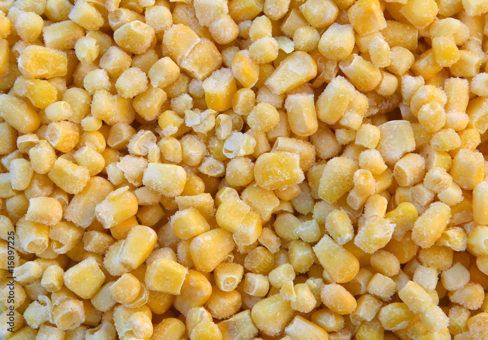 Frozen Corn Frozen Corn