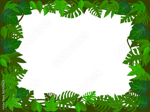 Forest frame
