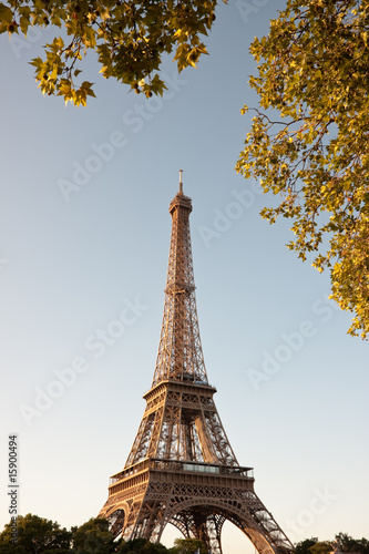 Eiffel tower in the morning with leaves. © Vit Kovalcik