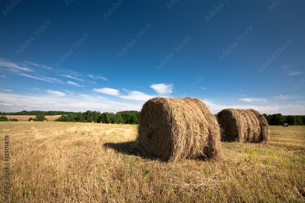 Haystacks in the filed