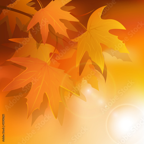 autumn