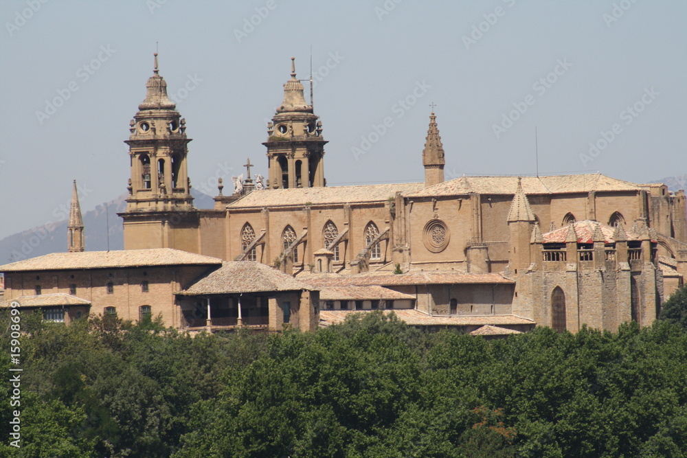 Vista general de la catedral de Pamplona, Navarra, España.