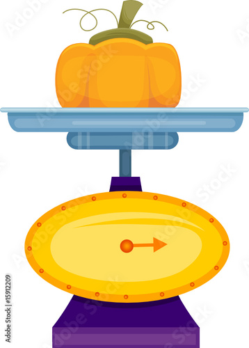 kitchen scale