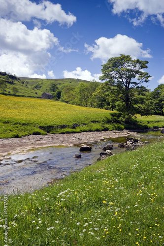 Langstrothdale photo