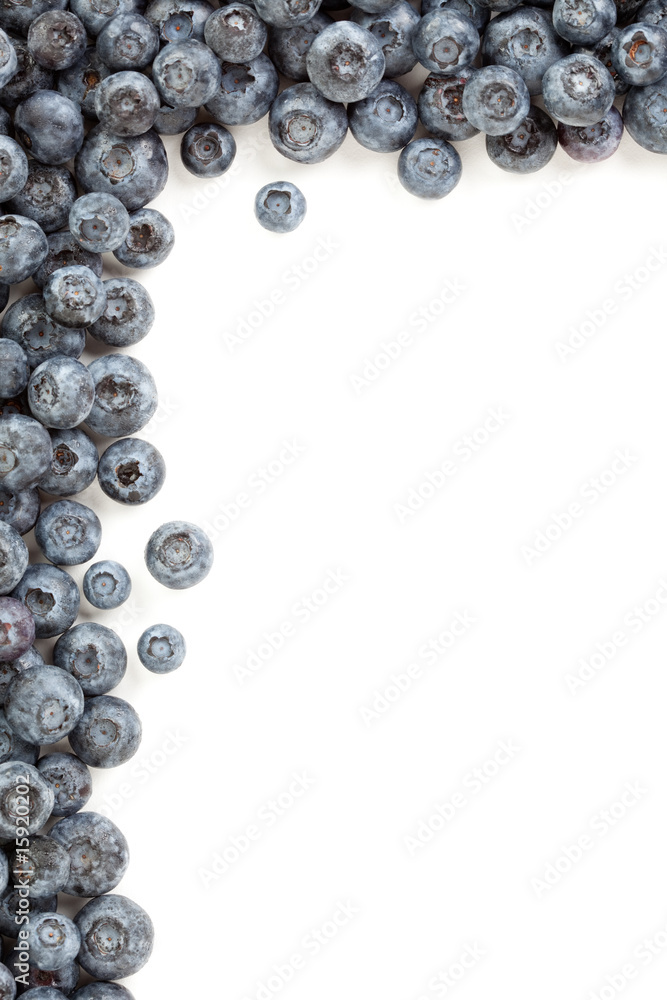 Fresh Blueberries Border Fresh Blueberries Border