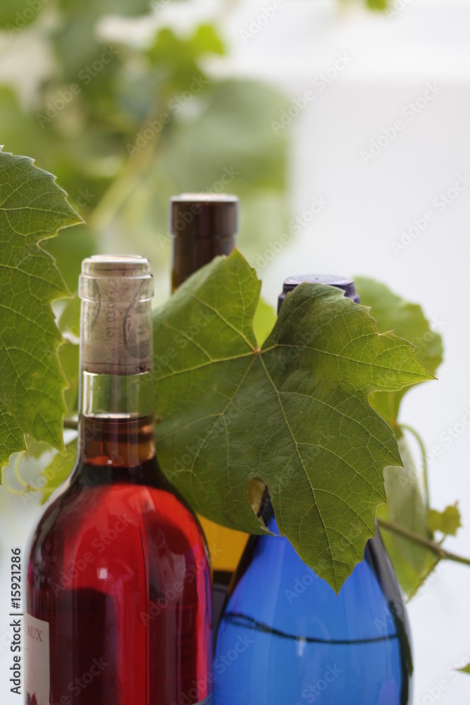 wine bottle and grape leaves