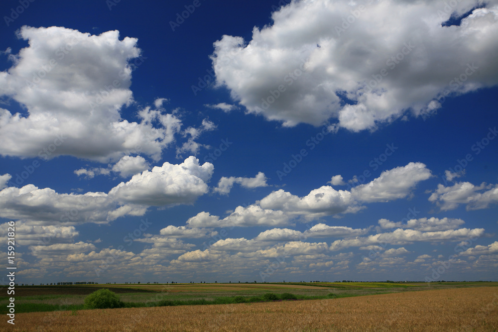 Deep blue sky and cumulus clouds over summer field Deep blue sky and cumulus clouds over summer field