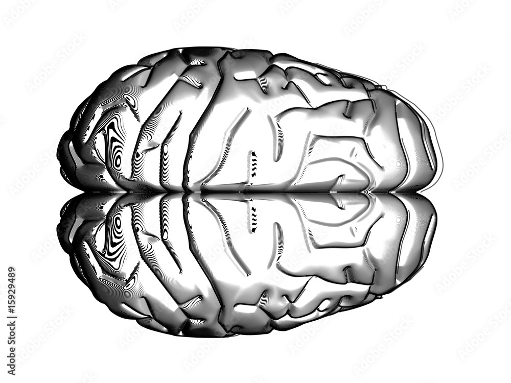 Fototapeta premium brain abstract