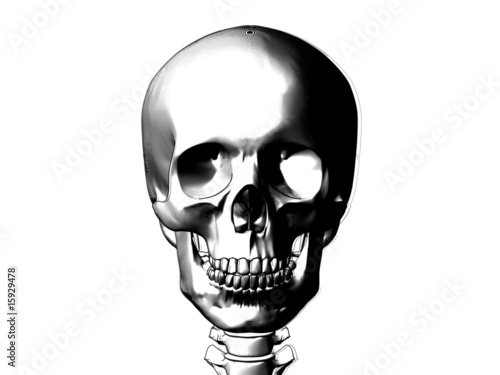 skull front