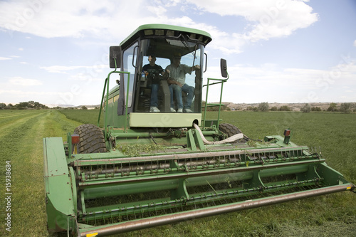 Windrower cutting alfalfa photo