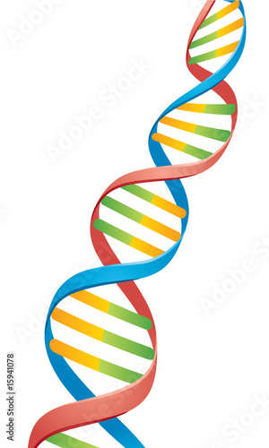 Double Helix DNA Strand