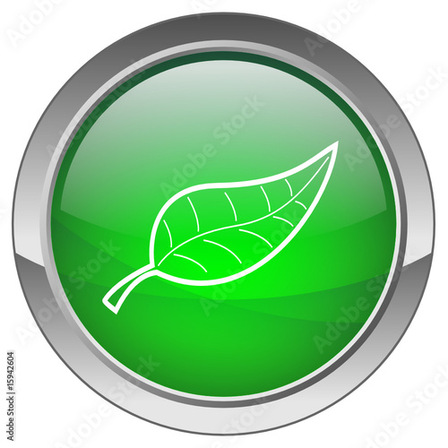Bouton "Feuille" - "Leaf" button