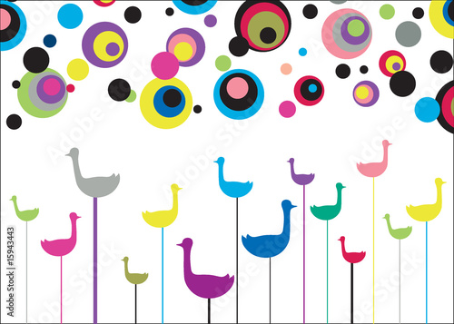 Bright fancy birds
