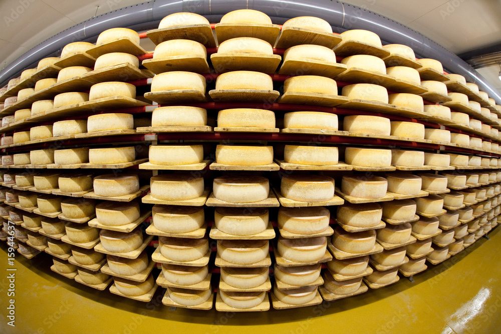 Obraz premium Käse2