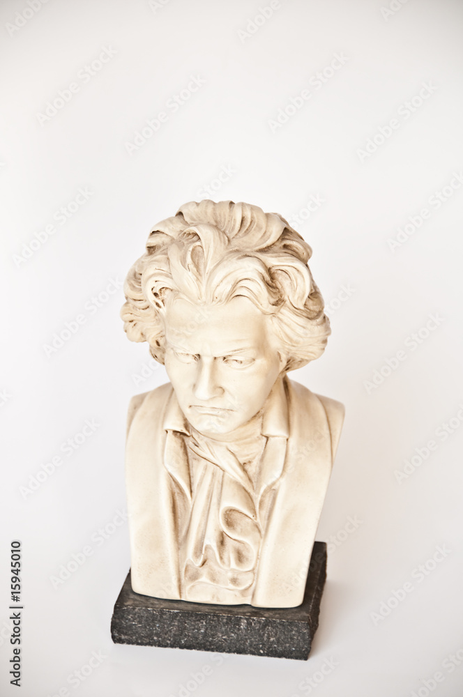 Obraz premium beethoven