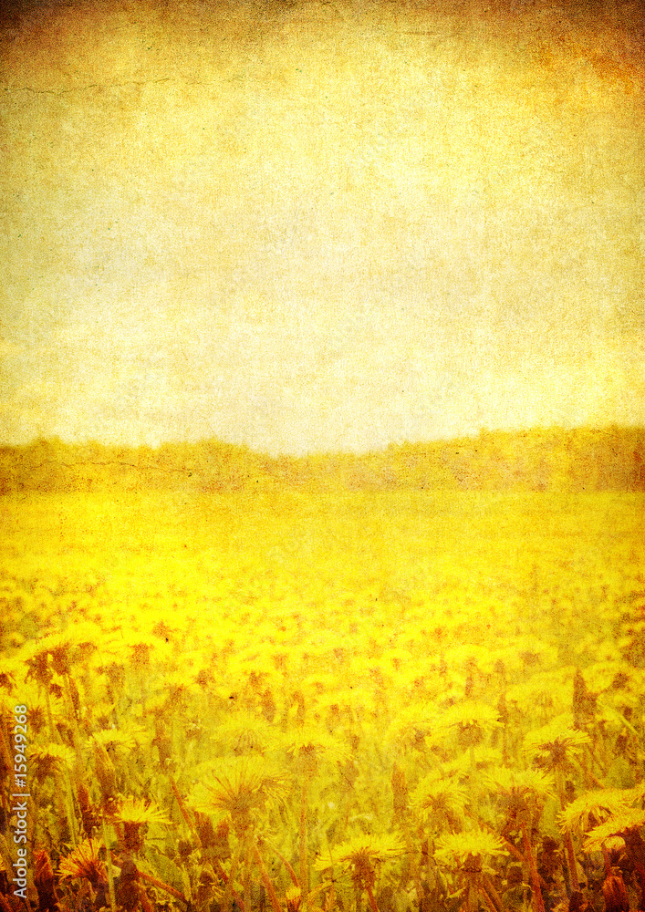 image of blooming field over vintage paper