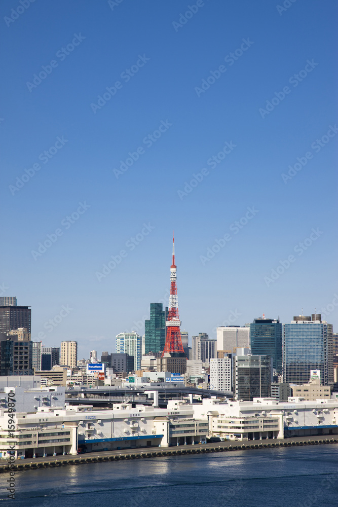 Naklejka premium 東京湾