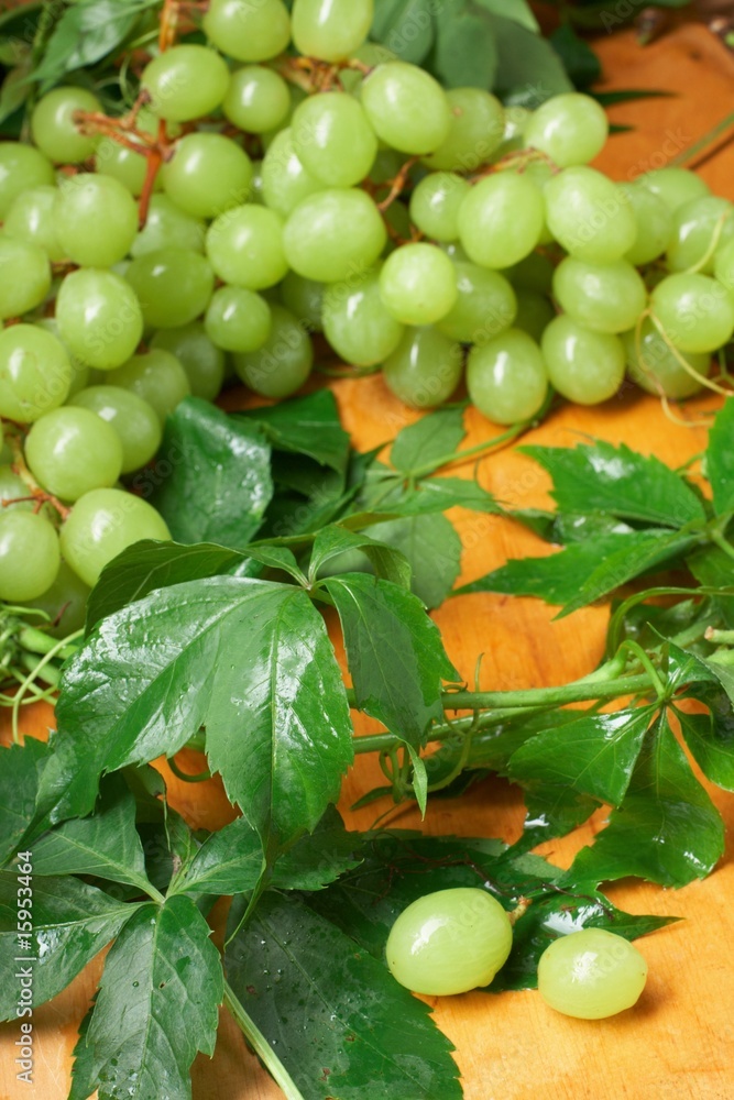 green grape with leaves