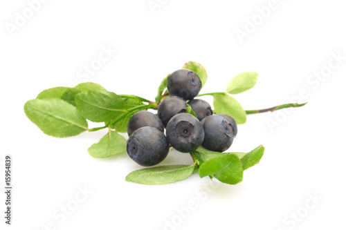 bilberries