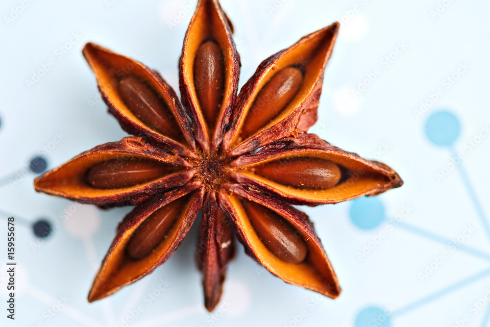 Macro of Anise star on a blue Christmas background Macro of Anise star on a blue Christmas background