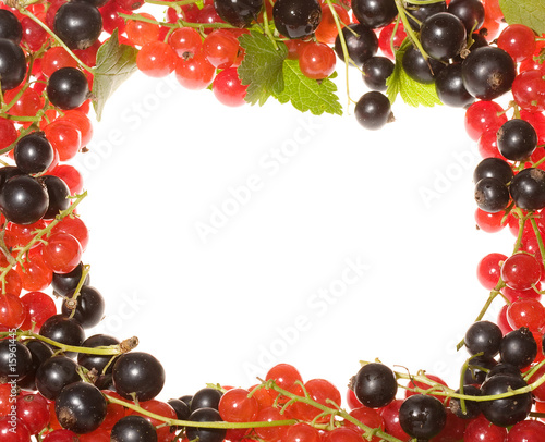 Fototapeta Naklejka Na Ścianę i Meble -  Fresh berries as frame